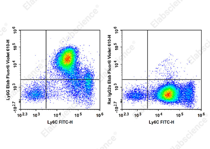 Elab Fluor® Violet 610 Anti-Mouse Ly6G Antibody[1A8]-1