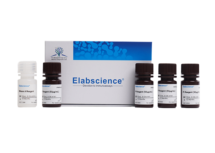 Cell Cycle Assay Kit (Red Fluorescence)