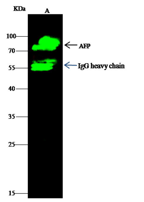 loading