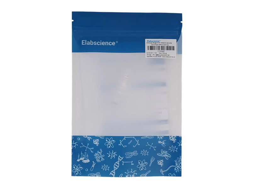 Purified Anti-Mouse CD16/32 Antibody[2.4G2]