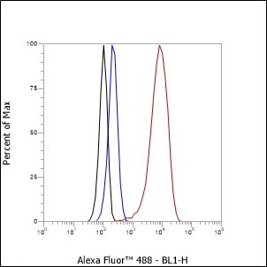 Recombinant RBBP7/RBBP4 Monoclonal Antibody - small - 5