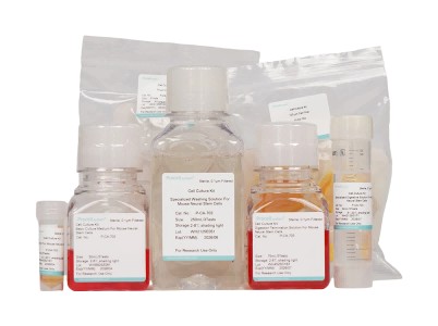 Mouse Neural Stem Cell Isolation and Culture Kit