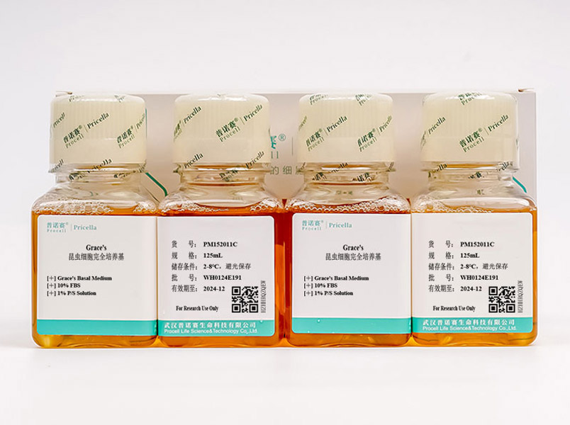 https://789.bio/ec/ZWeuLC