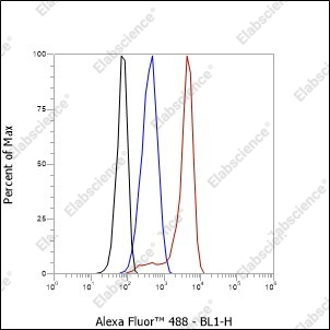 Recombinant CD47 Monoclonal Antibody - 5