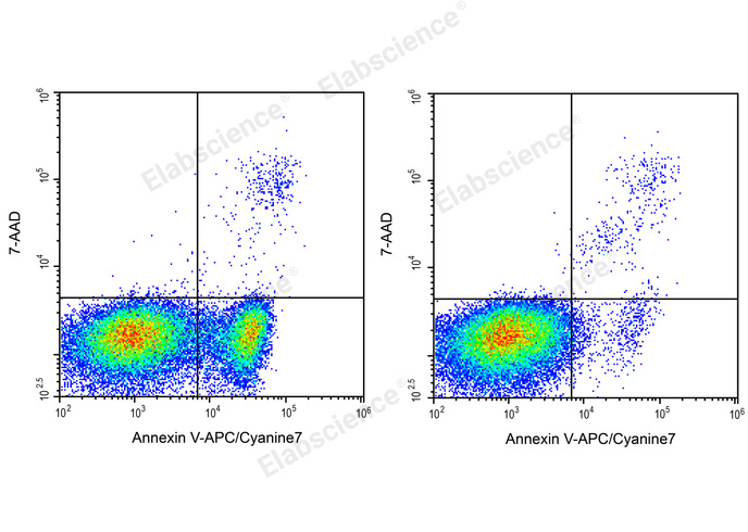 Annexin V-APC/Cyanine7/7-AAD Apoptosis Kit-1