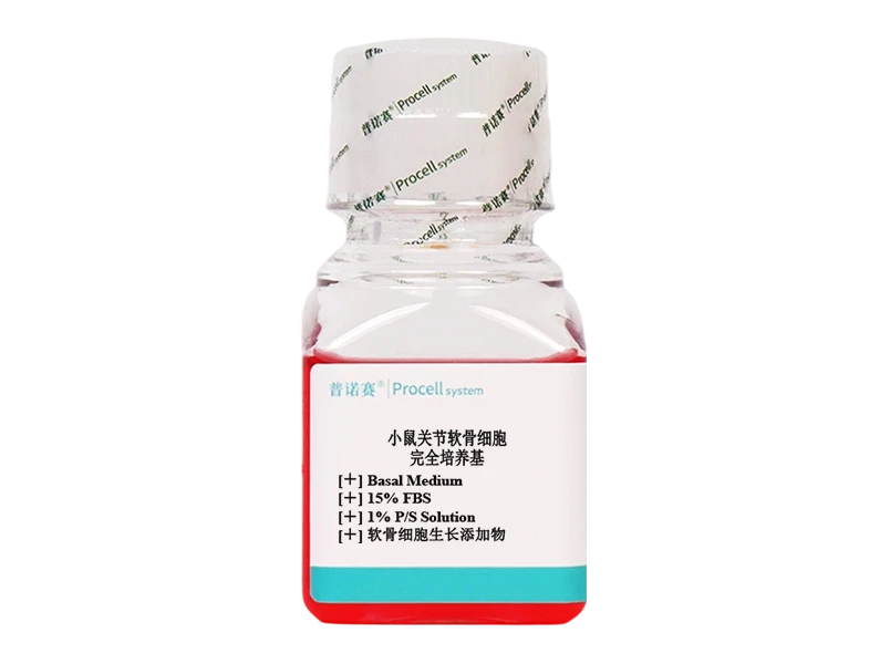 https://789.bio/ec/Zg0pzhCY