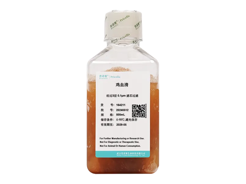 https://789.bio/ec/ZiLhHR