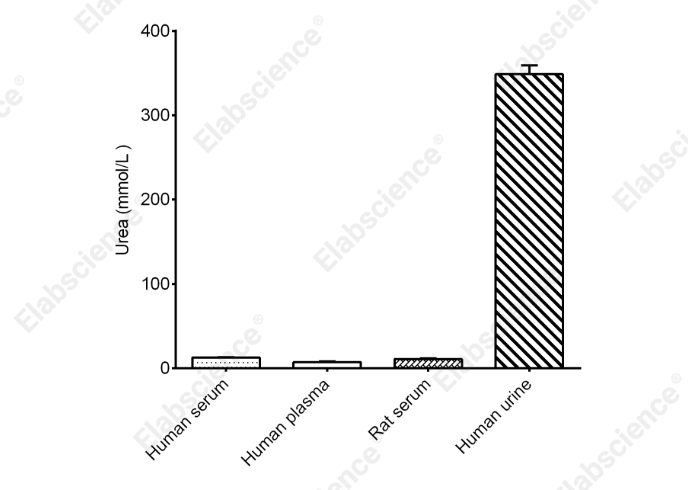 Urea (BUN) Colorimetric Assay Kit (Urease Method) - 2