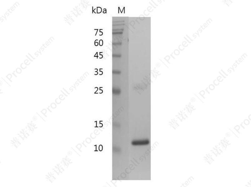 https://789.bio/ec/ZiiD88