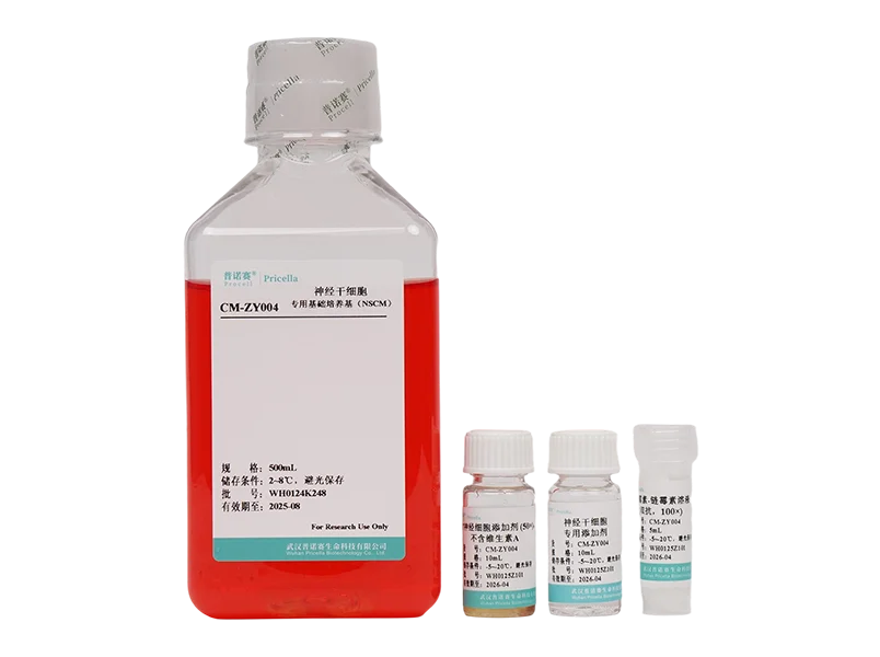 https://789.bio/ec/ZmamDR