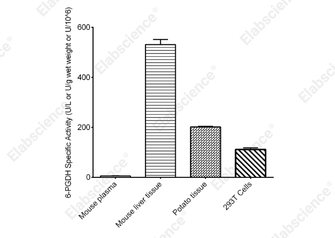6-Phosphogluconate Dehydrogenase (6-PGDH) Activity Colorimetric Assay Kit - 2