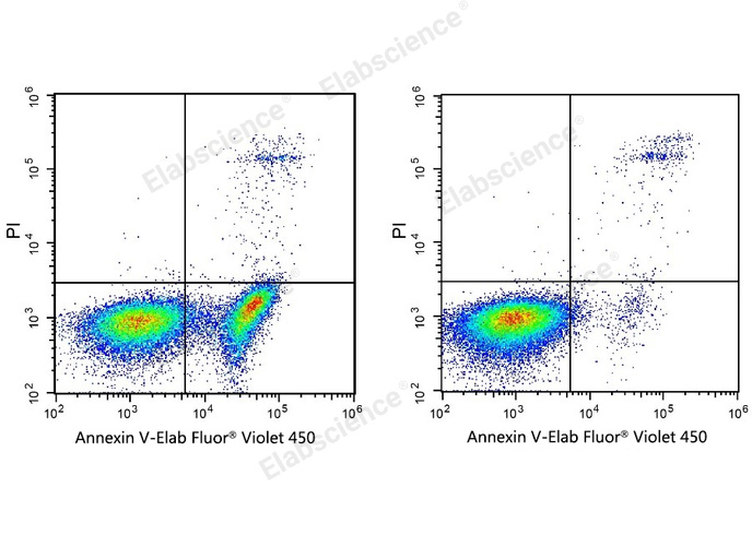 Annexin V-Elab Fluor® Violet 450/PI Apoptosis Kit-1