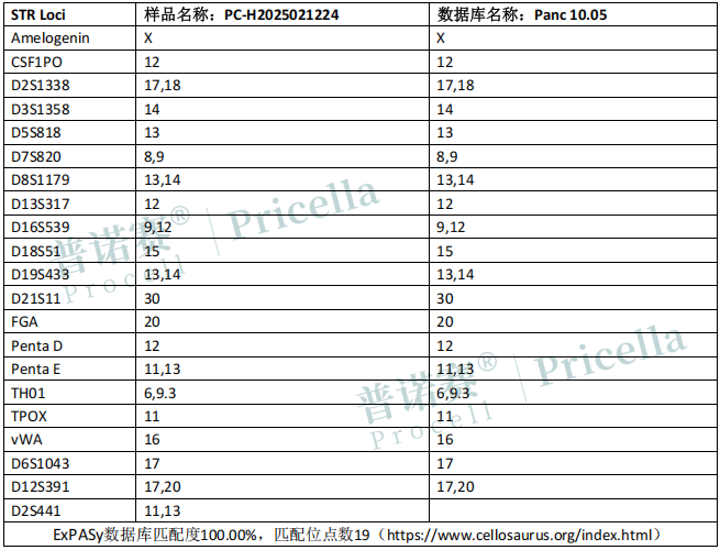 photo1
