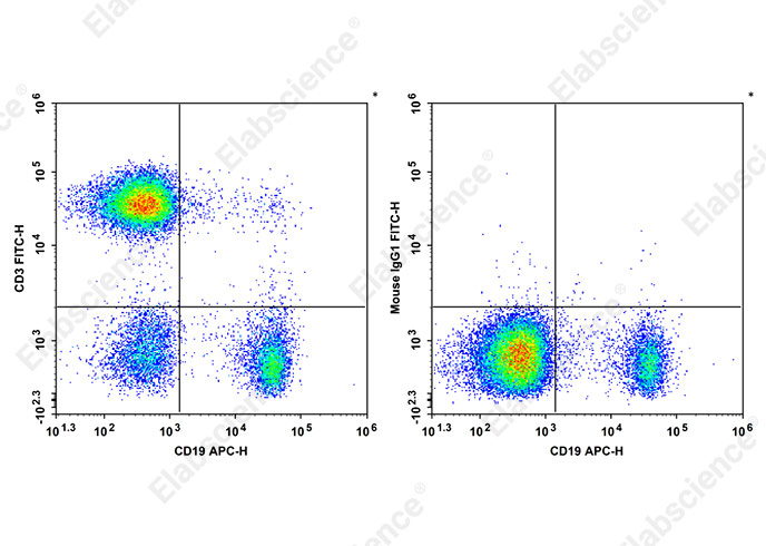 FITC Anti-Human CD3 Antibody[HIT3b]-1