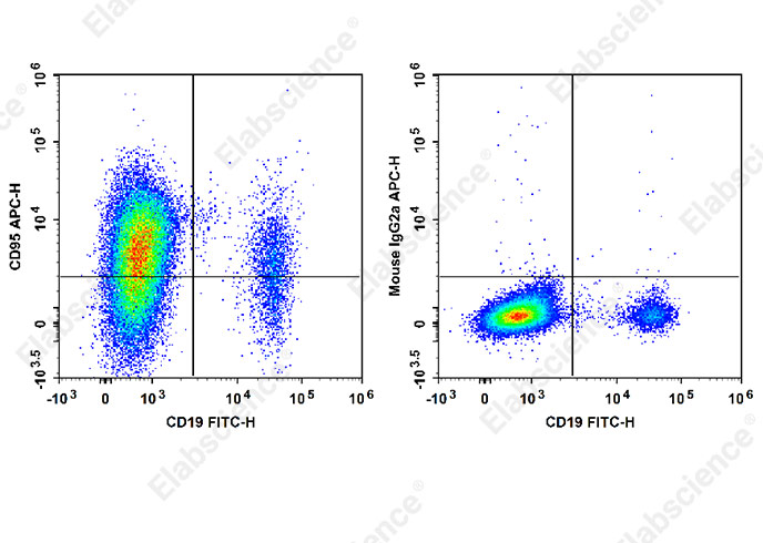 APC Anti-Human CD95/Fas Antibody[HFE7A/APO]-1