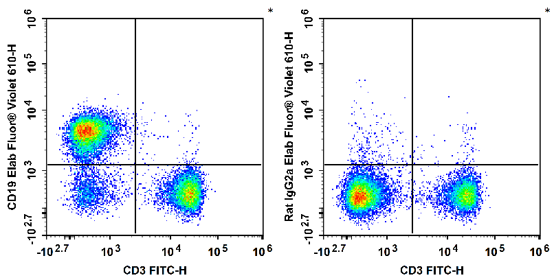 Elab Fluor® Violet 610 Anti-Mouse CD19 Antibody[1D3]-1