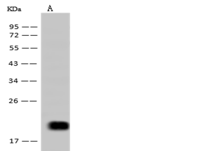 loading