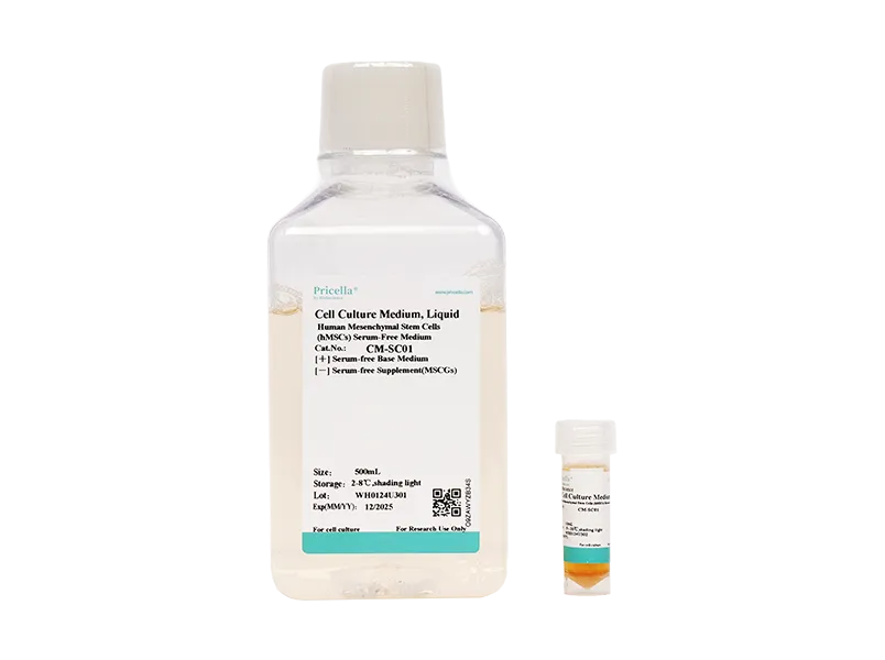 Human Mesenchymal Stem Cells (hMSCs) Serum-Free Medium-searchlist-1
