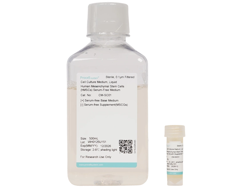 Human Mesenchymal Stem Cells (hMSCs) Serum-Free Medium