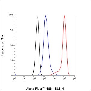Recombinant TIA1 Monoclonal Antibody - 2