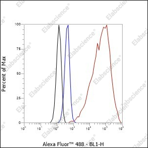 Recombinant ALOX15 Monoclonal Antibody - 5