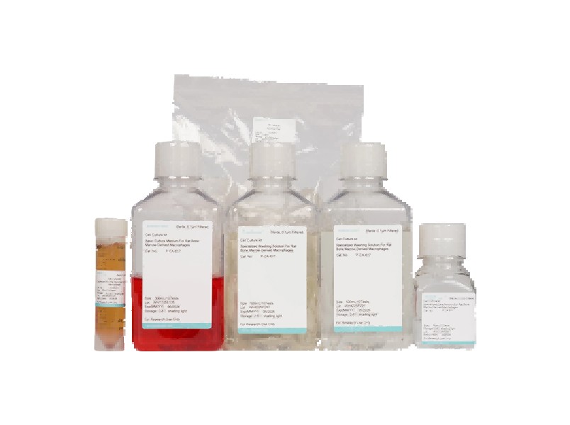Rat Bone Marrow-Derived Macrophage Isolation and Culture KitRat Bone Marrow-Derived Macrophage Isolation and Culture Kit - 2