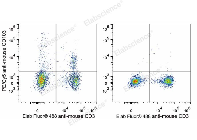 C57BL/6 murine splenocytes are stained with PE/Cyanine5 Anti-Mouse CD103 Antibody and Elab Fluor® 488 Anti-Mouse CD3 Antibody (left). Splenocytes stained with Elab Fluor® 488 Anti-Mouse CD3 Antibody (right) are used as control.