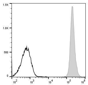 AF/LE Purified Anti-Mouse Ly6C Antibody[Monts 1]-产品推荐-1