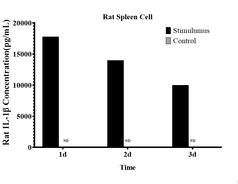 CellaQuant™ Rat IL-1β (Interleukin 1 Beta) ELISA Kit - 3
