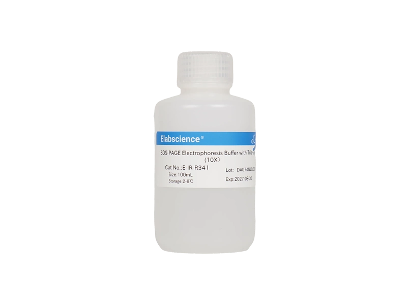 SDS-PAGE Electrophoresis Buffer with Tris-Gly (10X） - 1