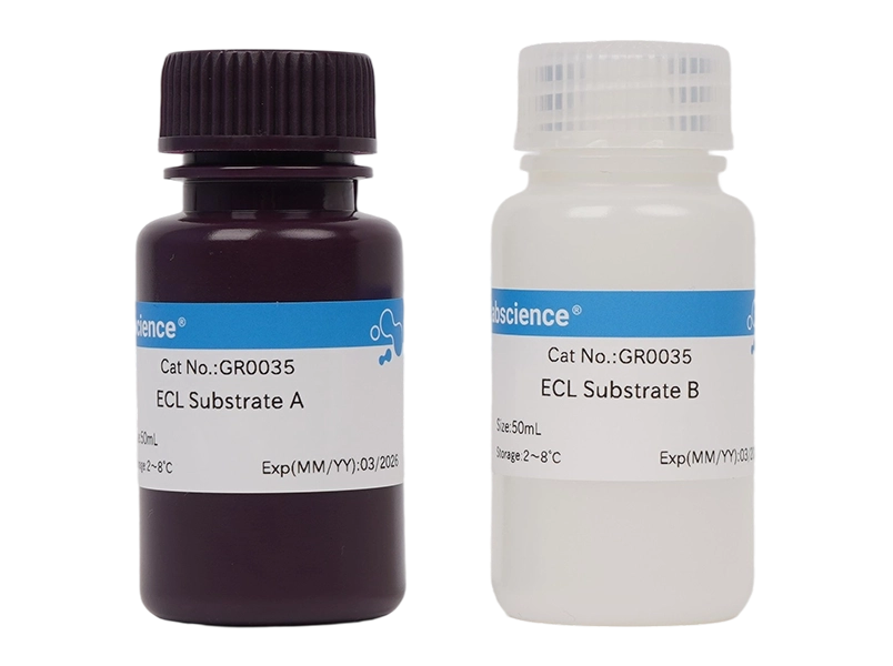 Excellent Chemiluminescent Substrate (ECL)Detection Kit