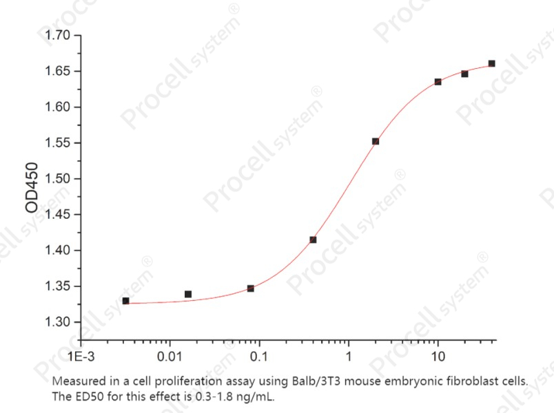 FGF-2/bFGF/FGF-b, Rat, RecombinantFGF-2/bFGF/FGF-b, Rat, Recombinant - 2