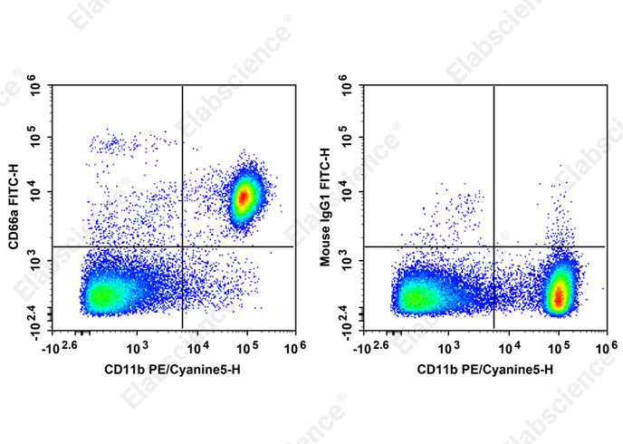AF/LE Purified Anti-Human CD1a Antibody[OKT-6]-产品推荐-1