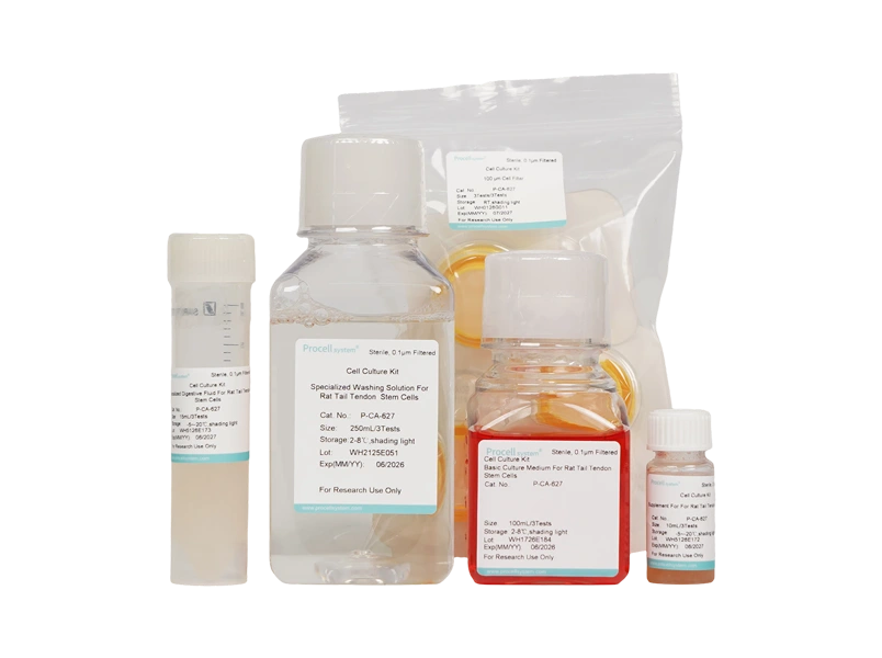 Rat Tail Tendon Stem Cell Isolation and Culture Kit