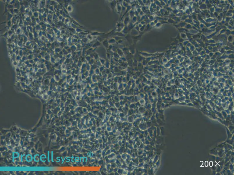 A-673 Cell Complete Medium - small - 5