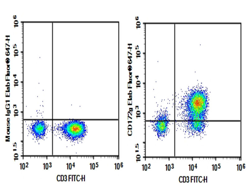 Purified Anti-Human CD172g Antibody[OX-119]-1