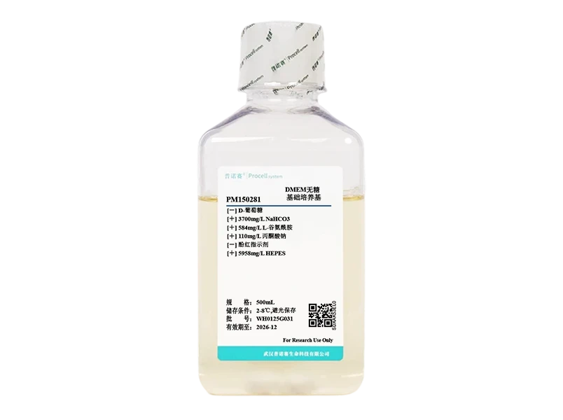 https://789.bio/ec/aEgVI38Q