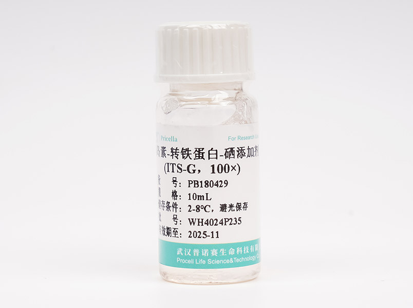 https://789.bio/ec/aH40lL