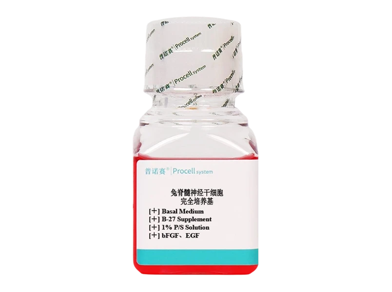 https://789.bio/ec/aHNPiXj8