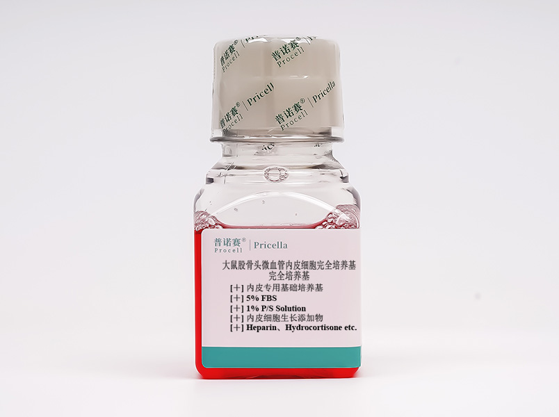 https://789.bio/ec/aHRZi9
