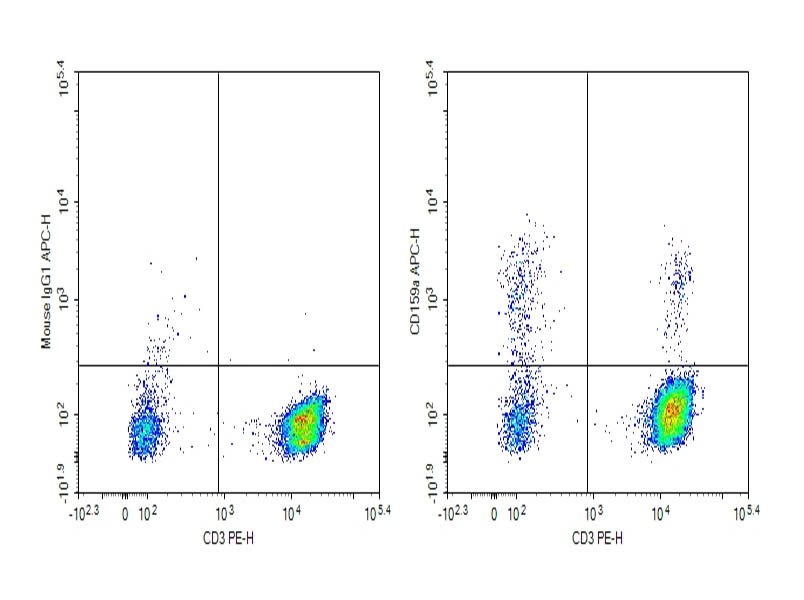 Purified Anti-Human CD159a Antibody[S19004C] - 1