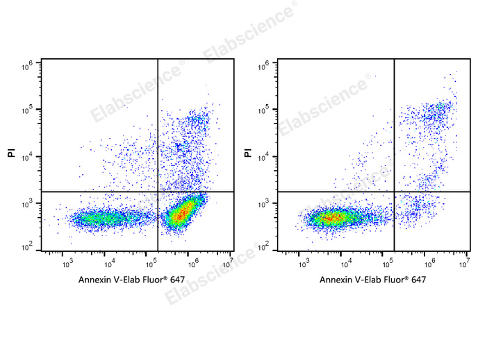 Annexin V-Elab Fluor® 647/PI Apoptosis Kit-1