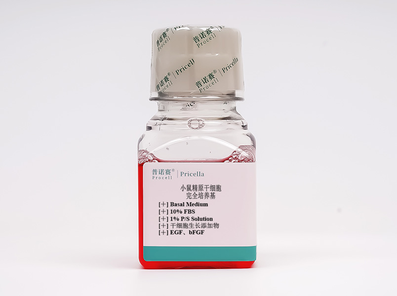 https://789.bio/ec/aPde94