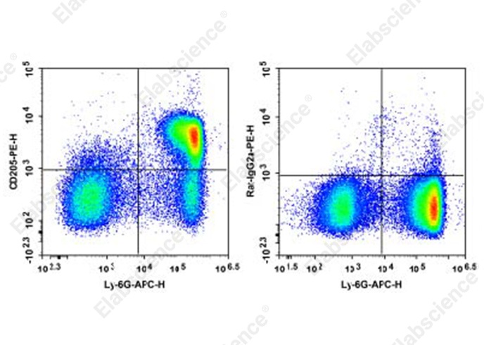 PE Anti-Mouse CD205 Antibody[NLDC-145]-1