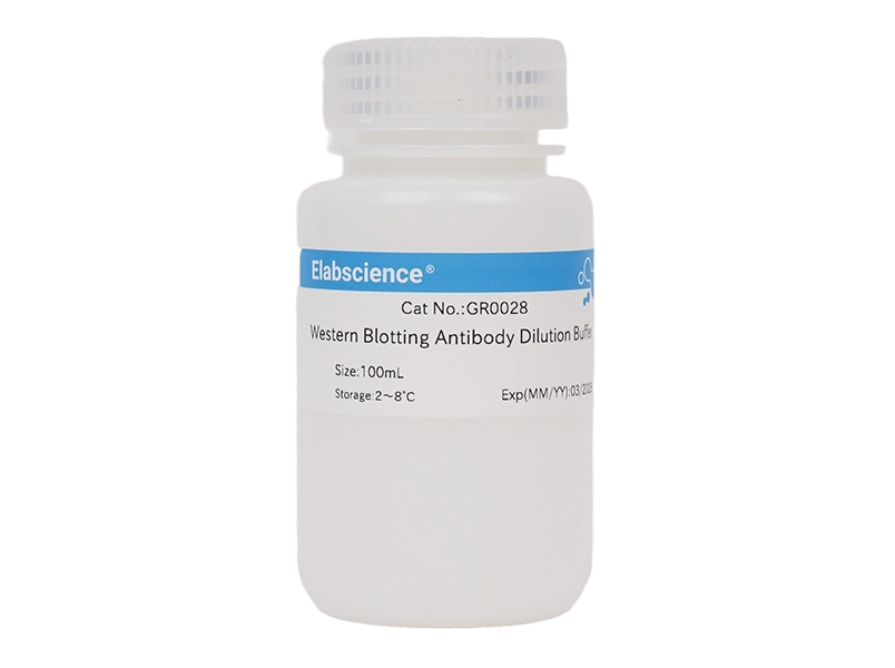 Western Blotting Antibody Dilution Buffer