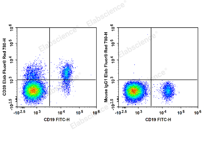 Human peripheral blood lymphocytes are stained with FITC Anti-Human CD19 Antibody and Elab Fluor® Red 780 Anti-Human CD39 Antibody (Left). Lymphocytes are stained with FITC Anti-Human CD19 Antibody and Elab Fluor® Red 780 Mouse IgG1, κ Isotype Control (Right).