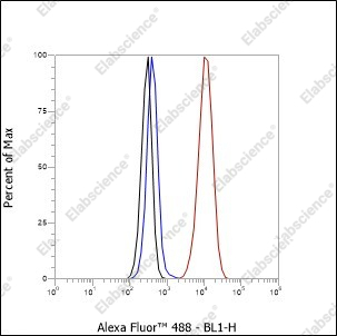 Recombinant PAP Monoclonal Antibody - 4