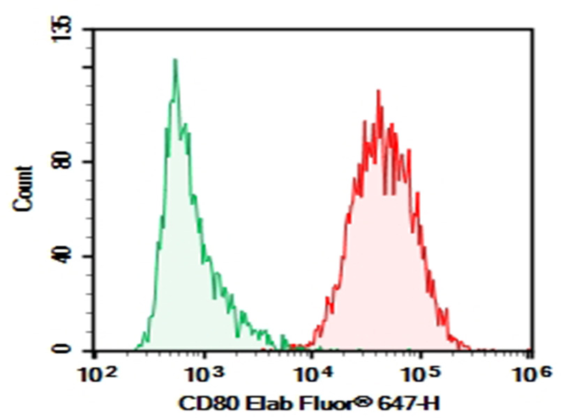Purified Anti-Human CD80 Antibody[2D10]-1