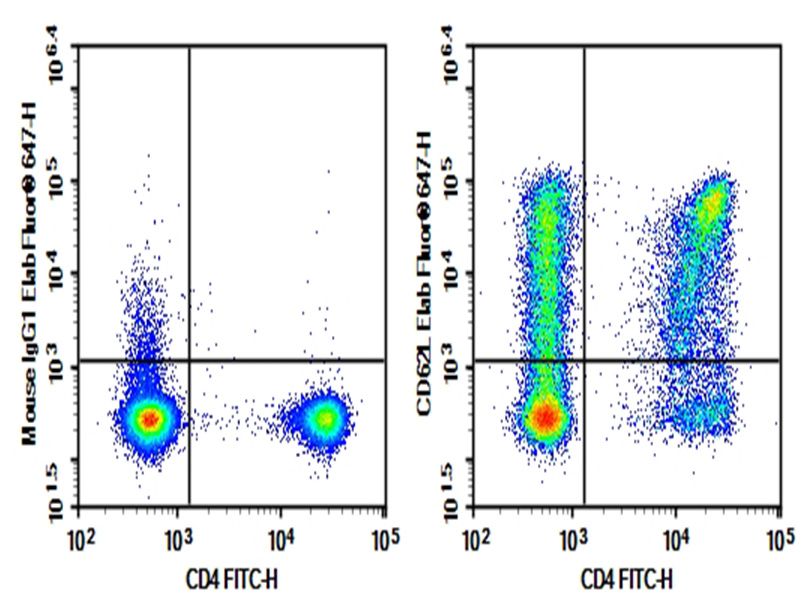 Purified Anti-Human CD19 Antibody[HD37]-产品推荐-1