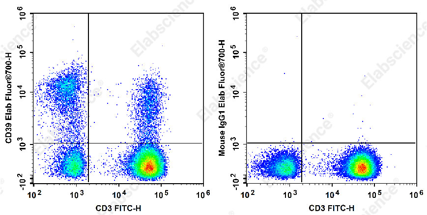 Elab Fluor® 700 Anti-Human CD39 Antibody[A1]-1